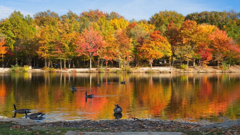 12 Pristine Swimming Holes in Ohio You’ll Never Want to Leave