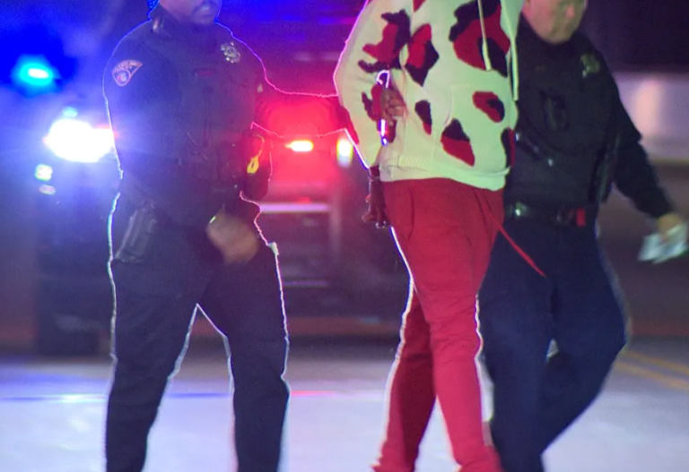 Driver Taken into Custody After Pedestrian Fatality Incident