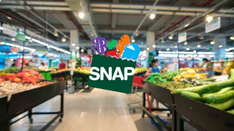 SNAP Benefits: Essential Support for Millions of Families Across the Nation