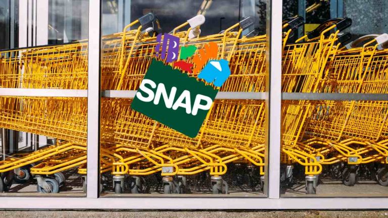 Extra Money for SNAP Recipients in New York: Details on the New Program