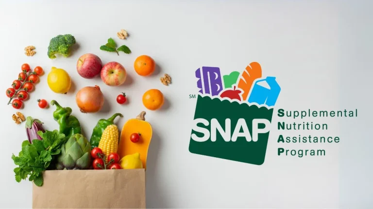 Final Days to Apply for D-SNAP Benefits in 7 Florida Counties