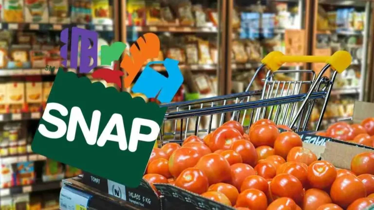 November SNAP Benefits: $431 Food Stamps Should Be in Your Account