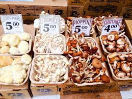 Mushroom Recall Alert: Potential Listeria Contamination Sparks Warning